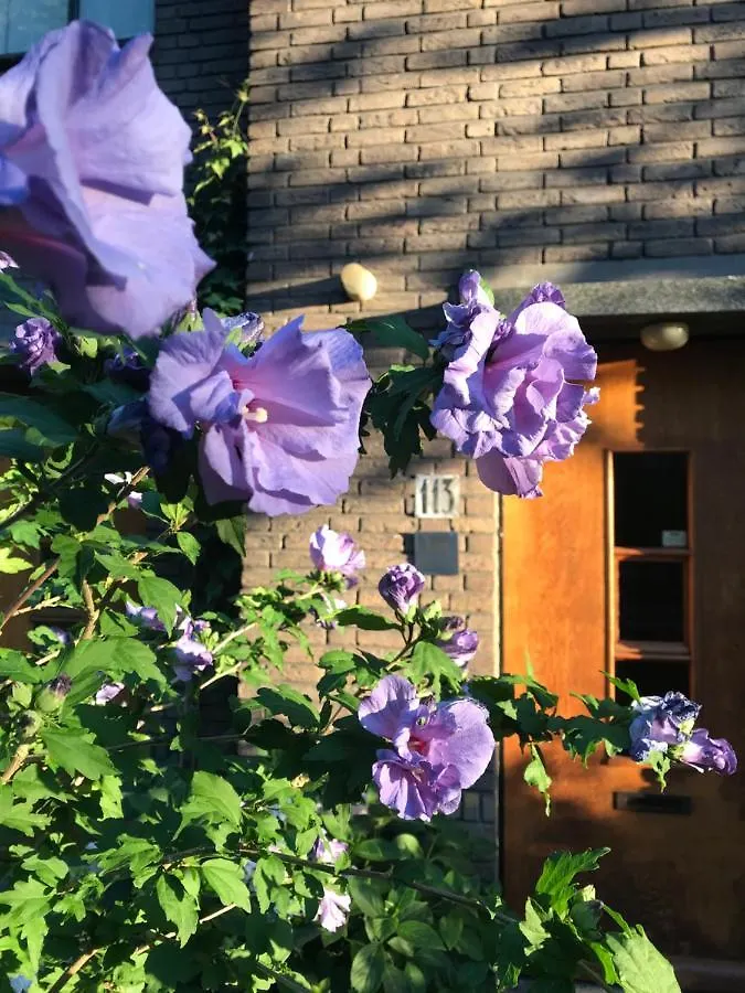 Eikenburg B&B Eindhoven 0*,